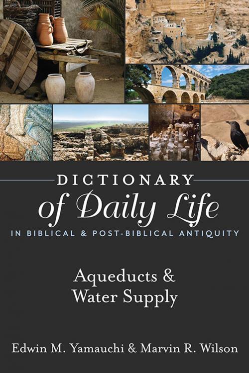 Cover of the book Dictionary of Daily Life in Biblical & Post-Biblical Antiquity: Aqueducts & Water Supply by Yamauchi, Edwin M, Wilson, Marvin R., Hendrickson Publishers
