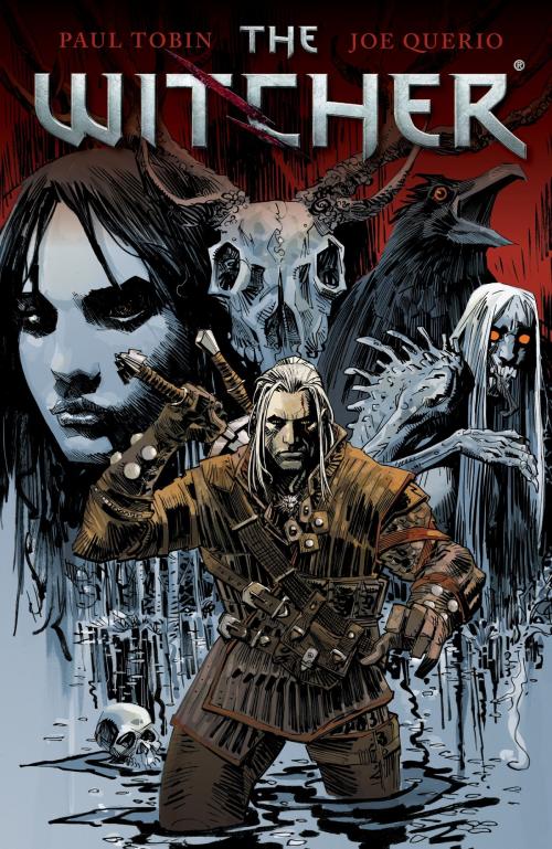 Cover of the book The Witcher Volume 1 by Paul Tobin, Dark Horse Comics