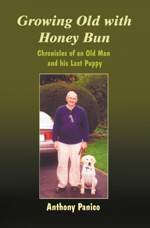 Cover of the book Growing Old with Honey Bun by Anthony  Panico, Strategic Book Publishing and Rights Co.