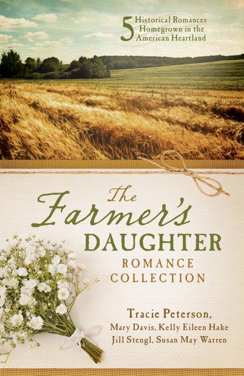 Cover of the book The Farmer's Daughter Romance Collection by Tracie Peterson, Mary Davis, Kelly Eileen Hake, Jill Stengl, Susan May Warren, Barbour Publishing, Inc.