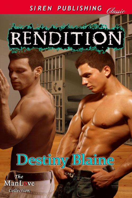 Cover of the book Rendition by Destiny Blaine, Siren-BookStrand