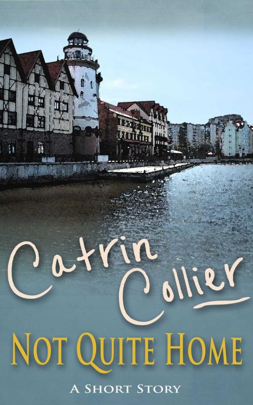 Cover of the book Not Quite Home by Catrin Collier, Accent Press