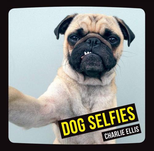 Cover of the book Dog Selfies by Charlie Ellis, Summersdale Publishers Ltd