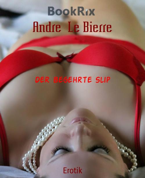 Cover of the book Der begehrte Slip by Andre Le Bierre, BookRix