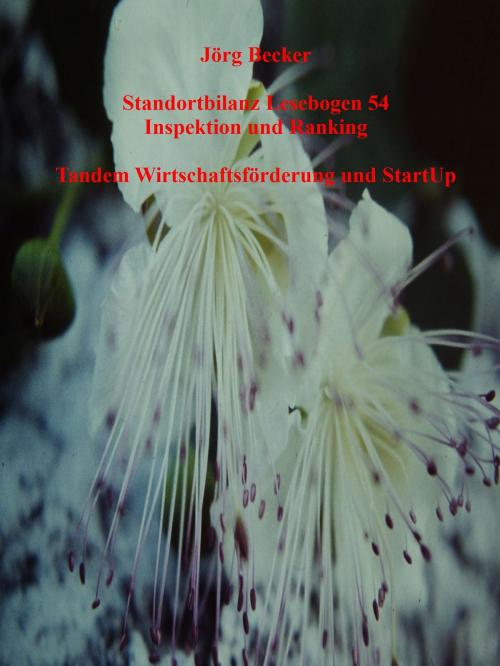 Cover of the book Standortbilanz Lesebogen 54 Inspektion und Ranking by Jörg Becker, BoD E-Short