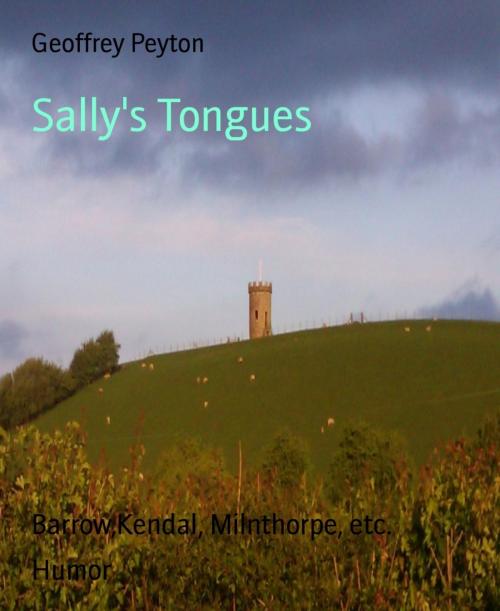 Cover of the book Sally's Tongues by Geoffrey Peyton, BookRix