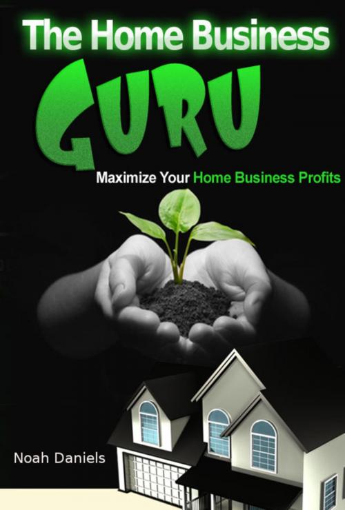 Cover of the book The Home Business Guru by Noah Daniels, BookRix