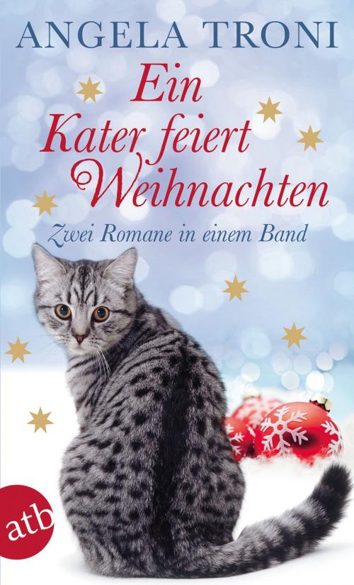 Cover of the book Ein Kater feiert Weihnachten by Angela Troni, Aufbau Digital