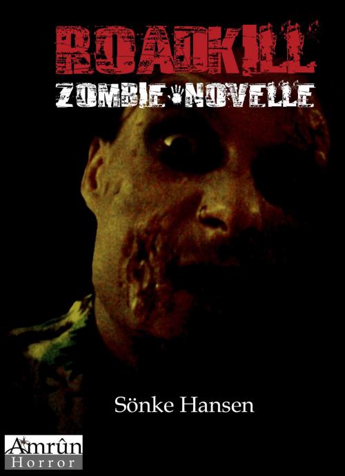 Cover of the book Roadkill by Sönke Hansen, Amrûn Verlag