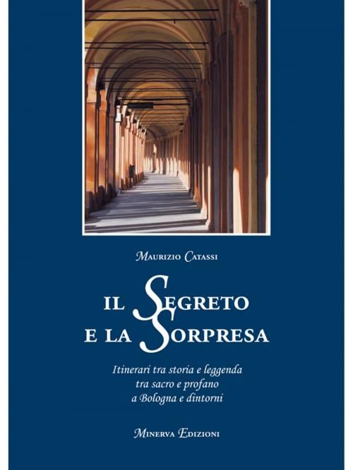 Cover of the book Il segreto e la sorpresa by Maurizio Catassi, Minerva Edizioni