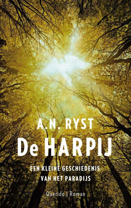 Cover of the book De harpij by A.N. Ryst, Singel Uitgeverijen