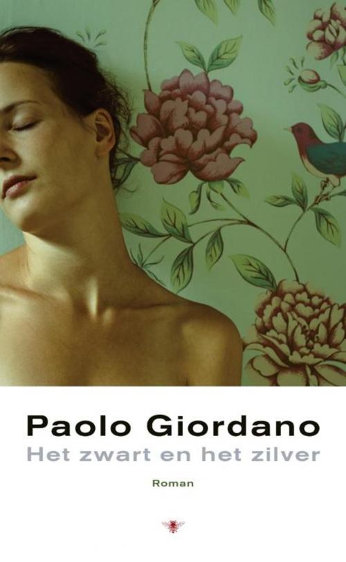 Cover of the book Het zwart en het zilver by Paolo Giordano, Bezige Bij b.v., Uitgeverij De