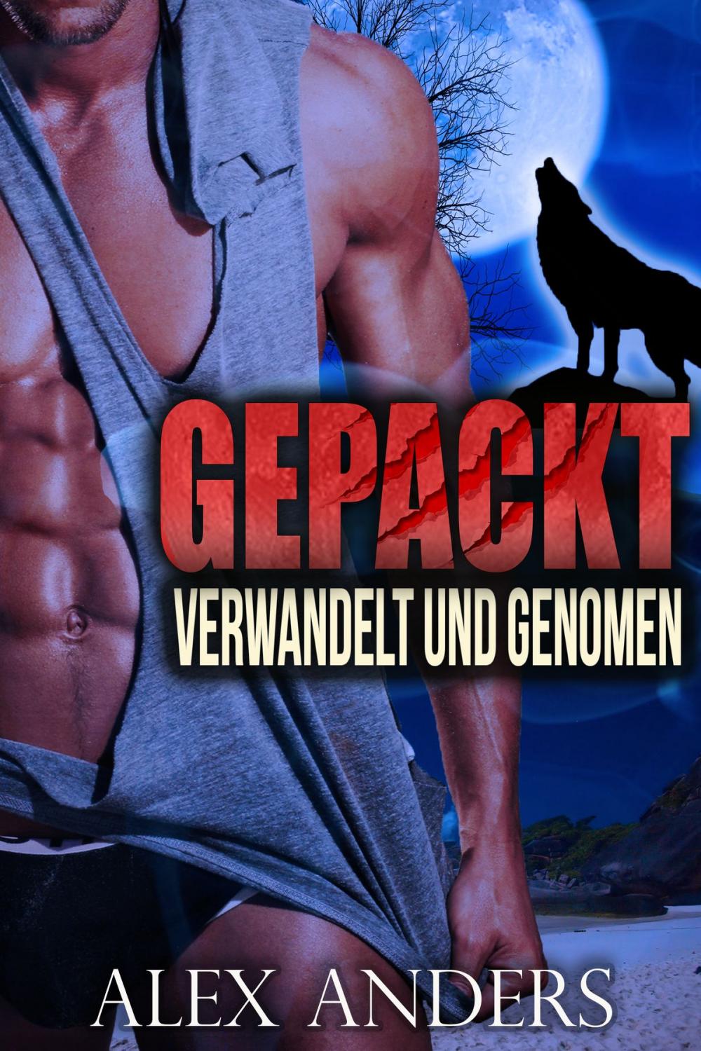 Big bigCover of Verwandelt und Genommen