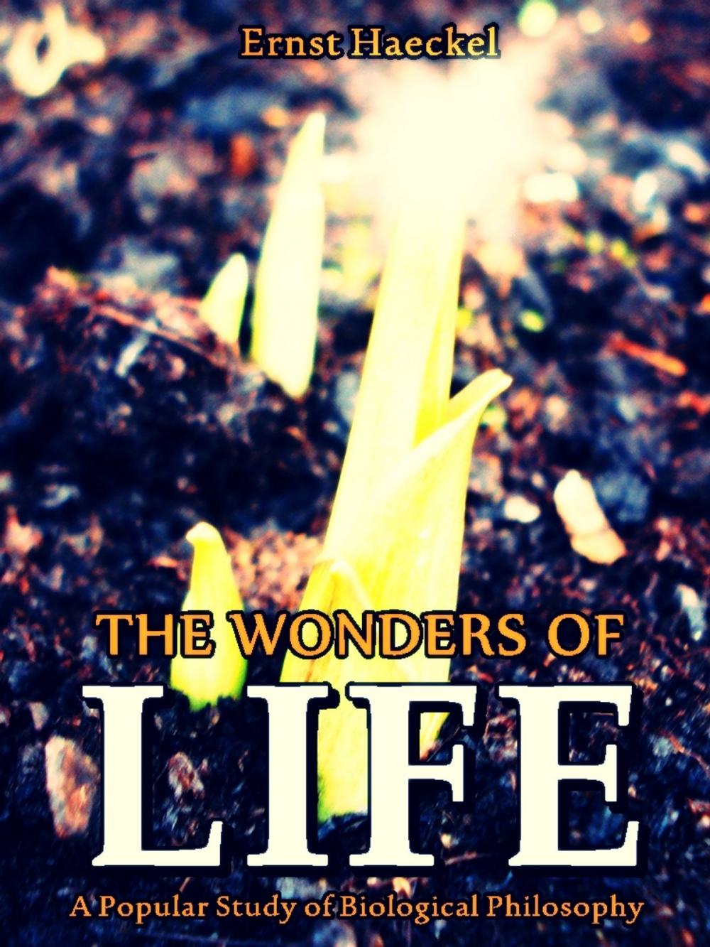 Big bigCover of The Wonders of Life