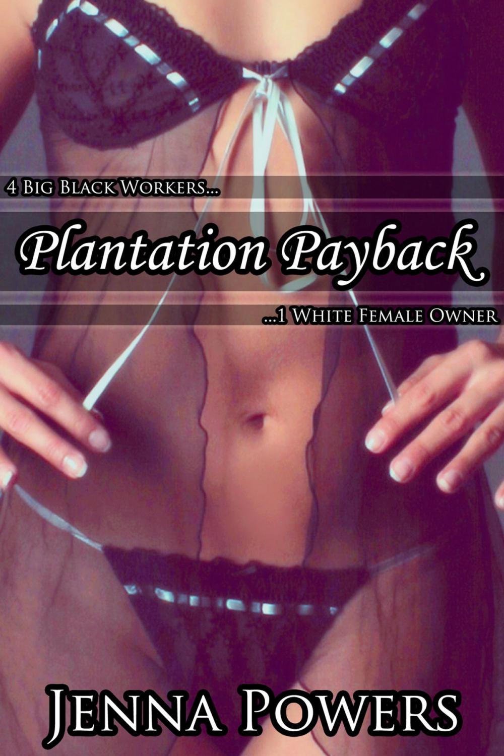 Big bigCover of Plantation Payback