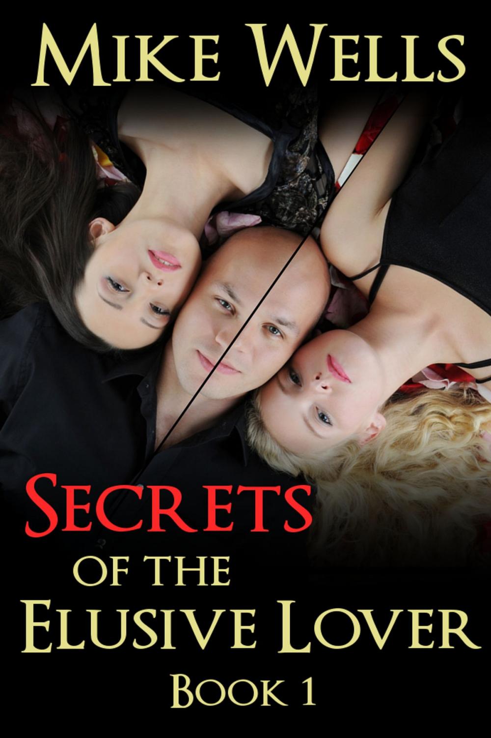 Big bigCover of Secrets of the Elusive Lover, Book 1