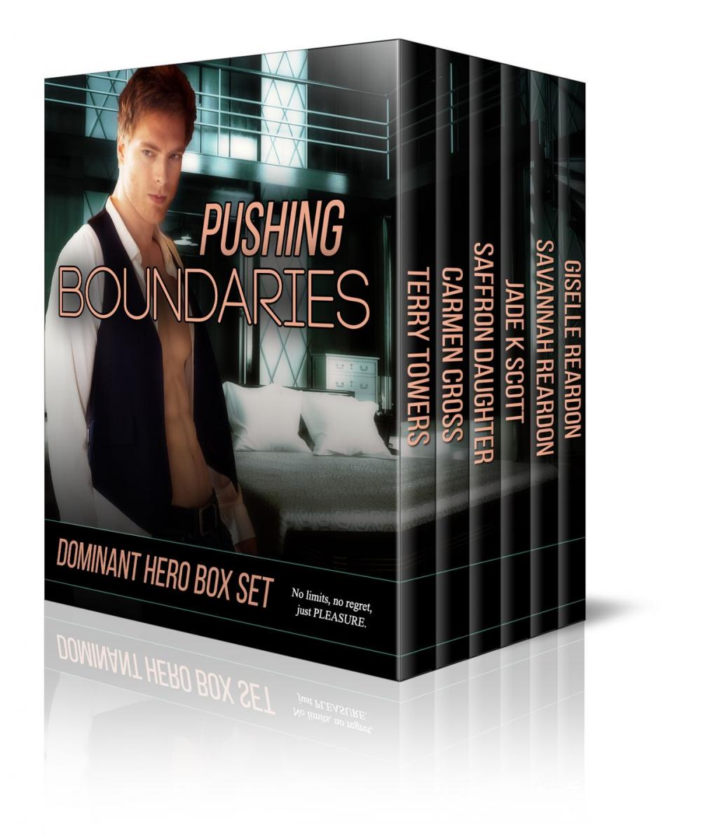 Big bigCover of Pushing Boundaries Dominant Hero Boxed Set