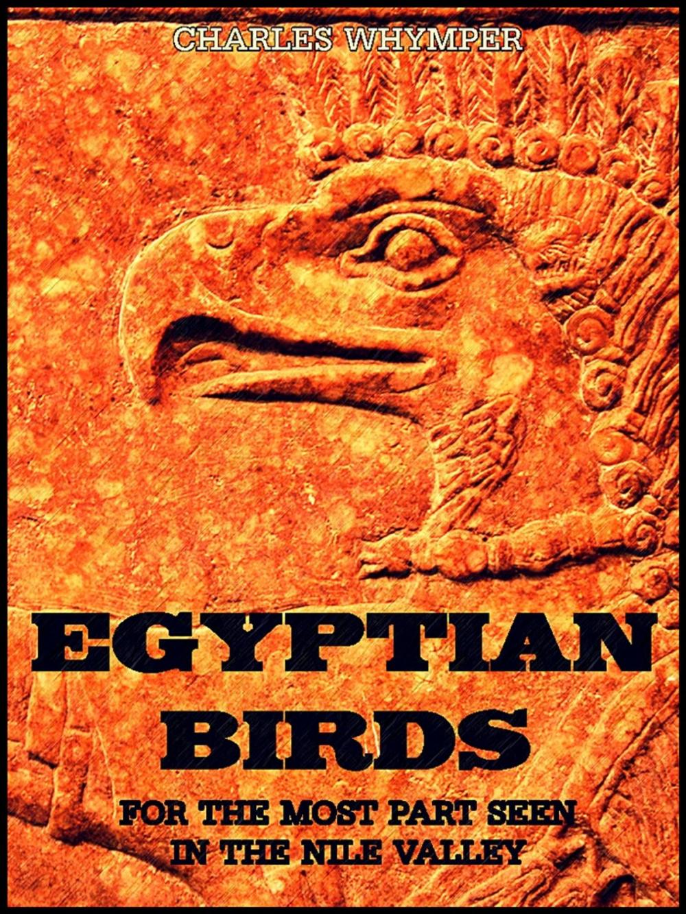 Big bigCover of Egyptian Birds