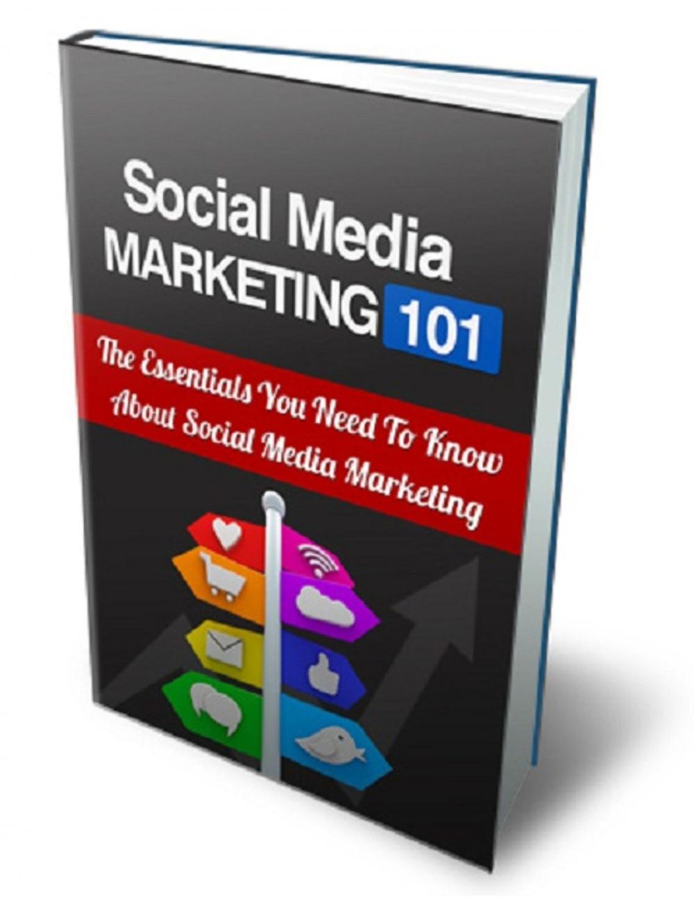 Big bigCover of Social Media Marketing 101