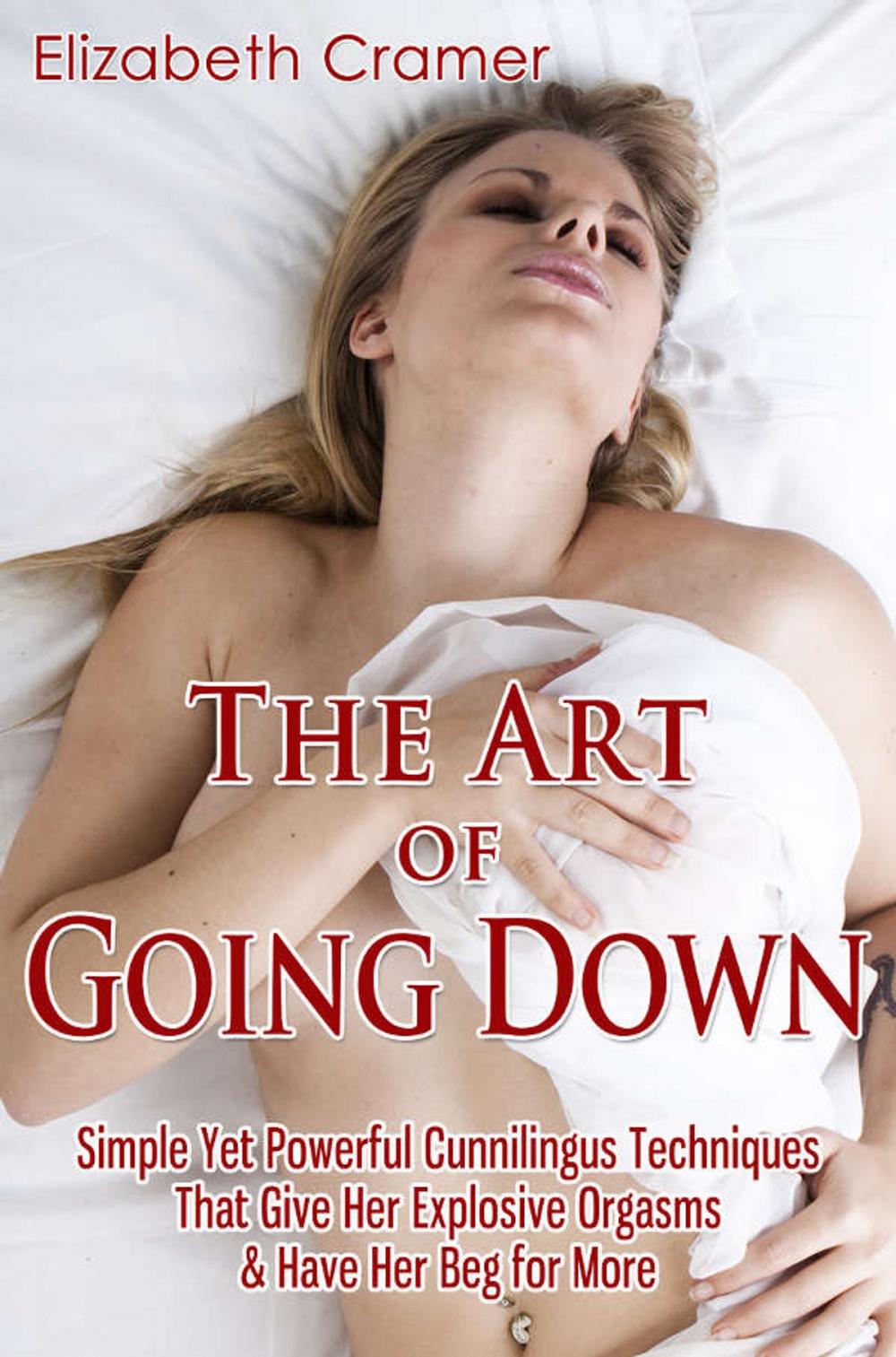 Big bigCover of The Art of Going Down