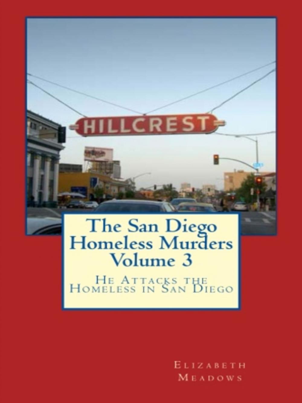 Big bigCover of The San Diego Homeless Murders Volume 3