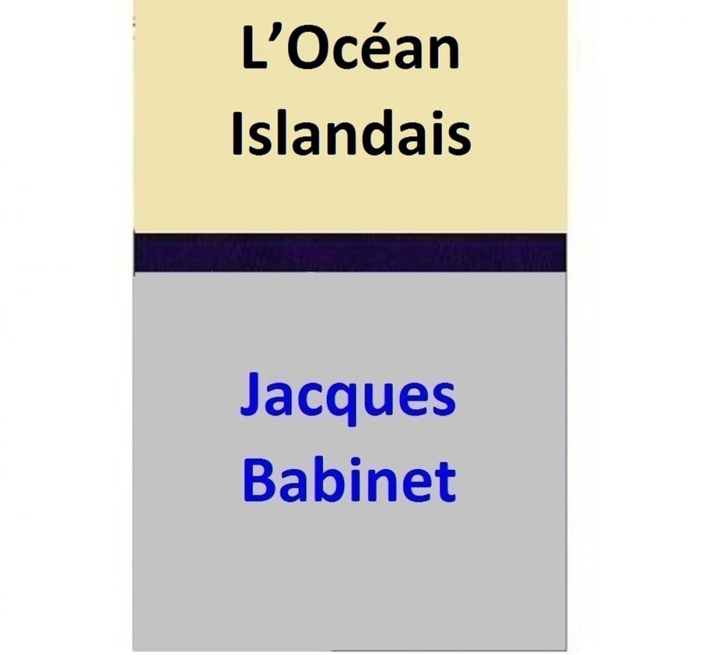 Big bigCover of L’Océan Islandais