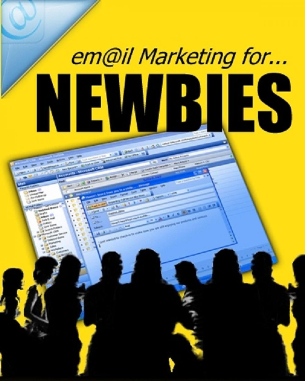 Big bigCover of Email Marketing For NEWBIES