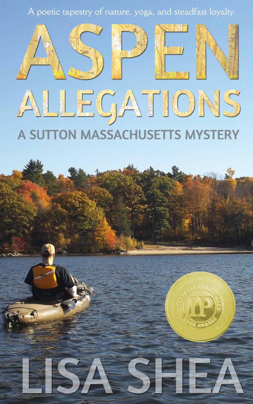 Big bigCover of Aspen Allegations - A Sutton Massachusetts Mystery