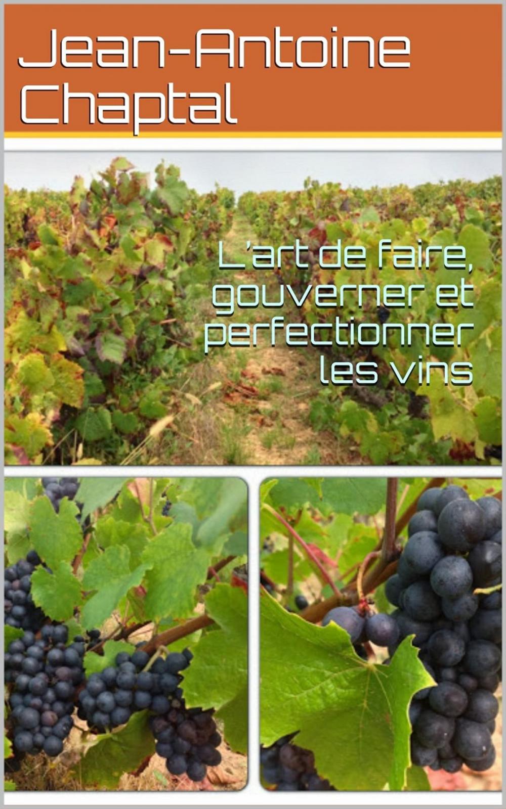 Big bigCover of L’art de faire, gouverner et perfectionner les vins