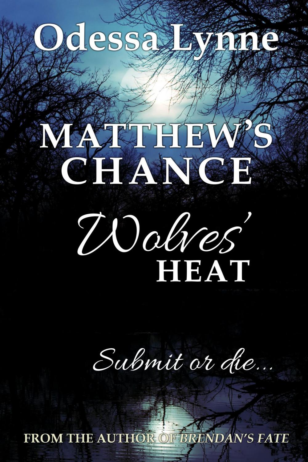 Big bigCover of Matthew's Chance