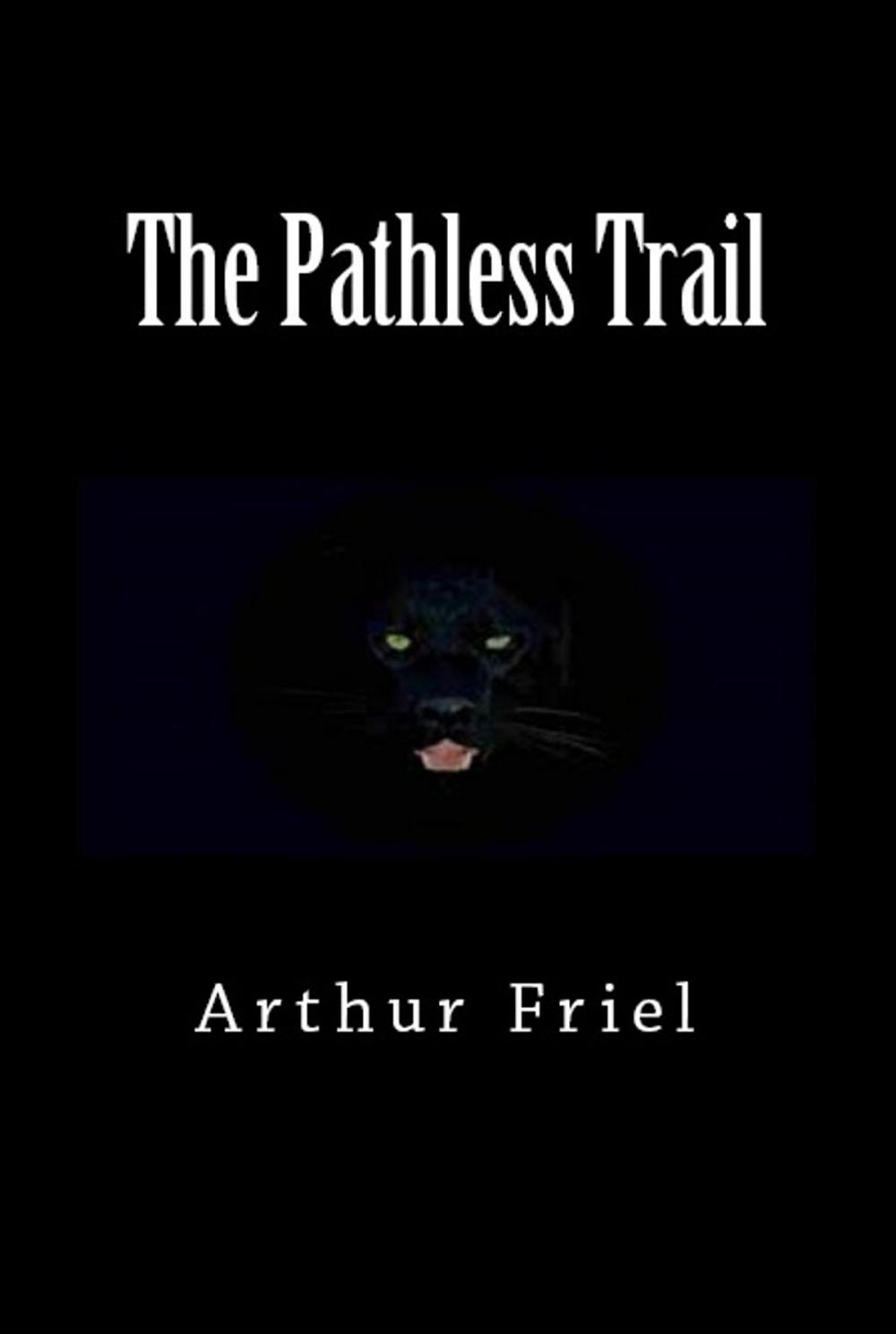 Big bigCover of The Pathless Trail