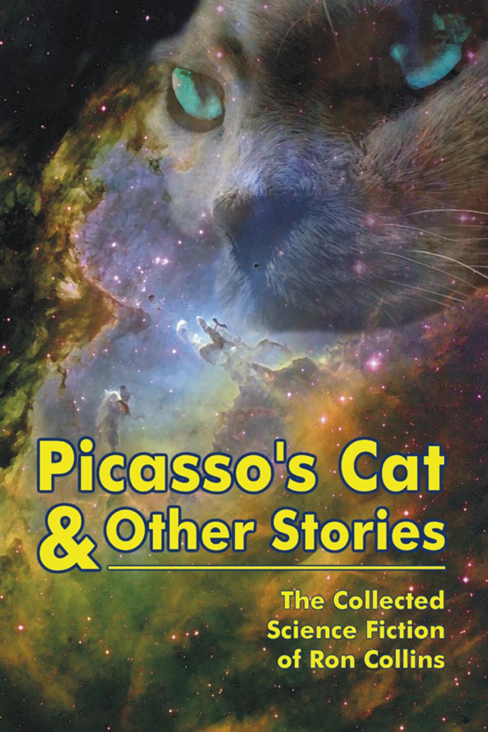 Big bigCover of Picasso's Cat & Other Stories