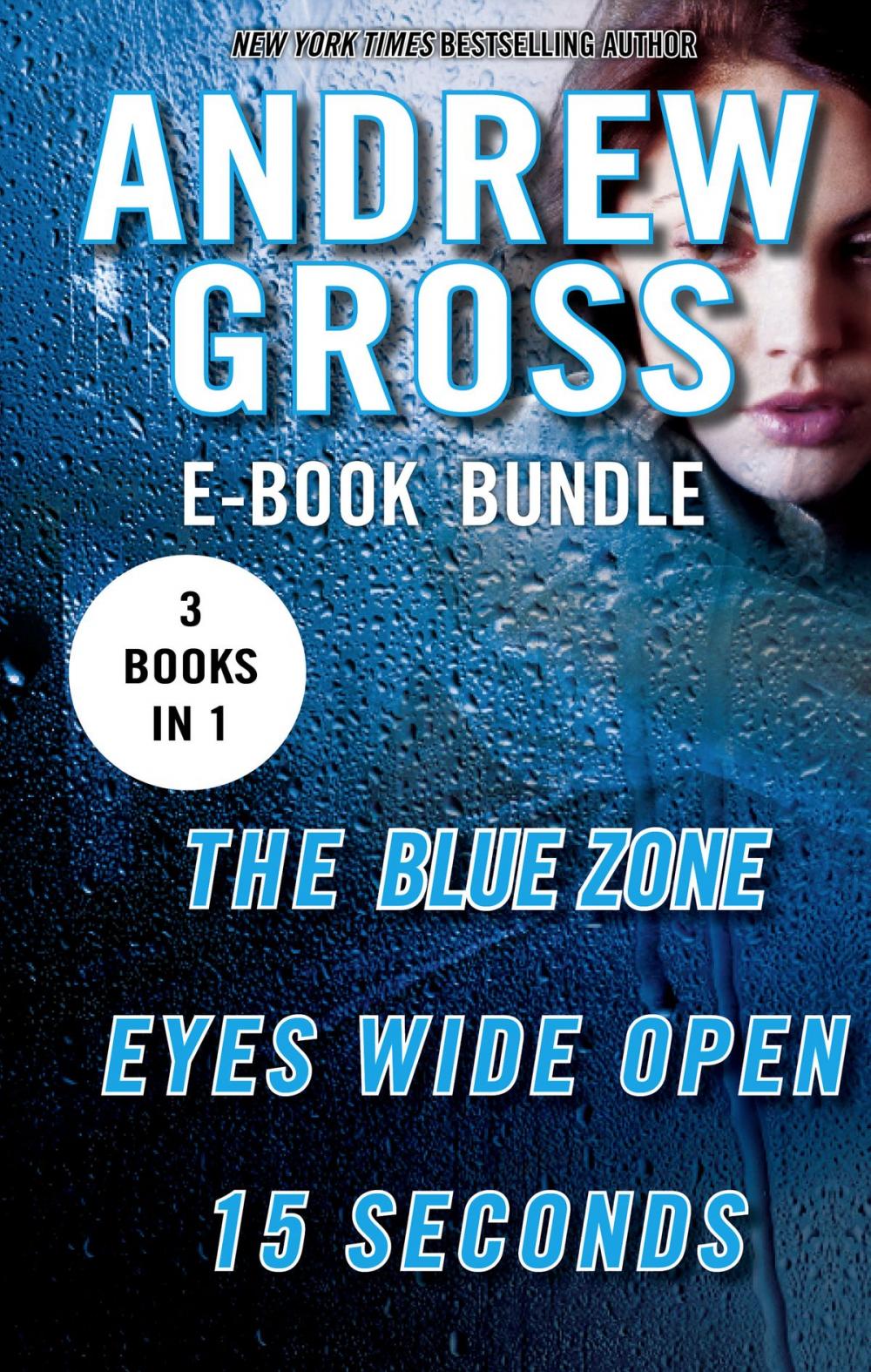 Big bigCover of The Andrew Gross Thriller