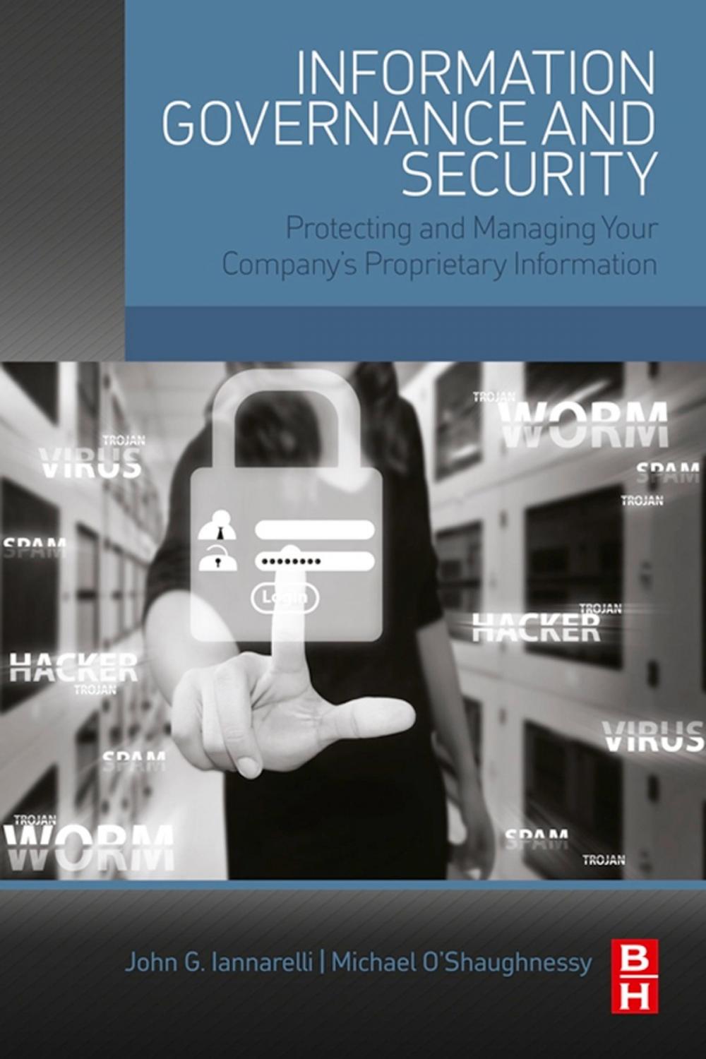 Big bigCover of Information Governance and Security