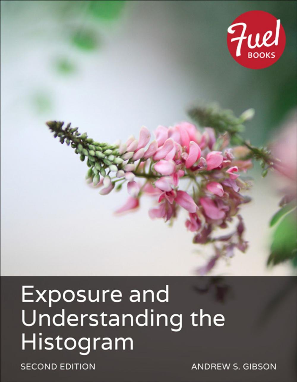 Big bigCover of Exposure and Understanding the Histogram