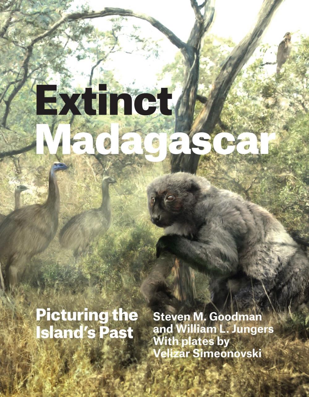 Big bigCover of Extinct Madagascar