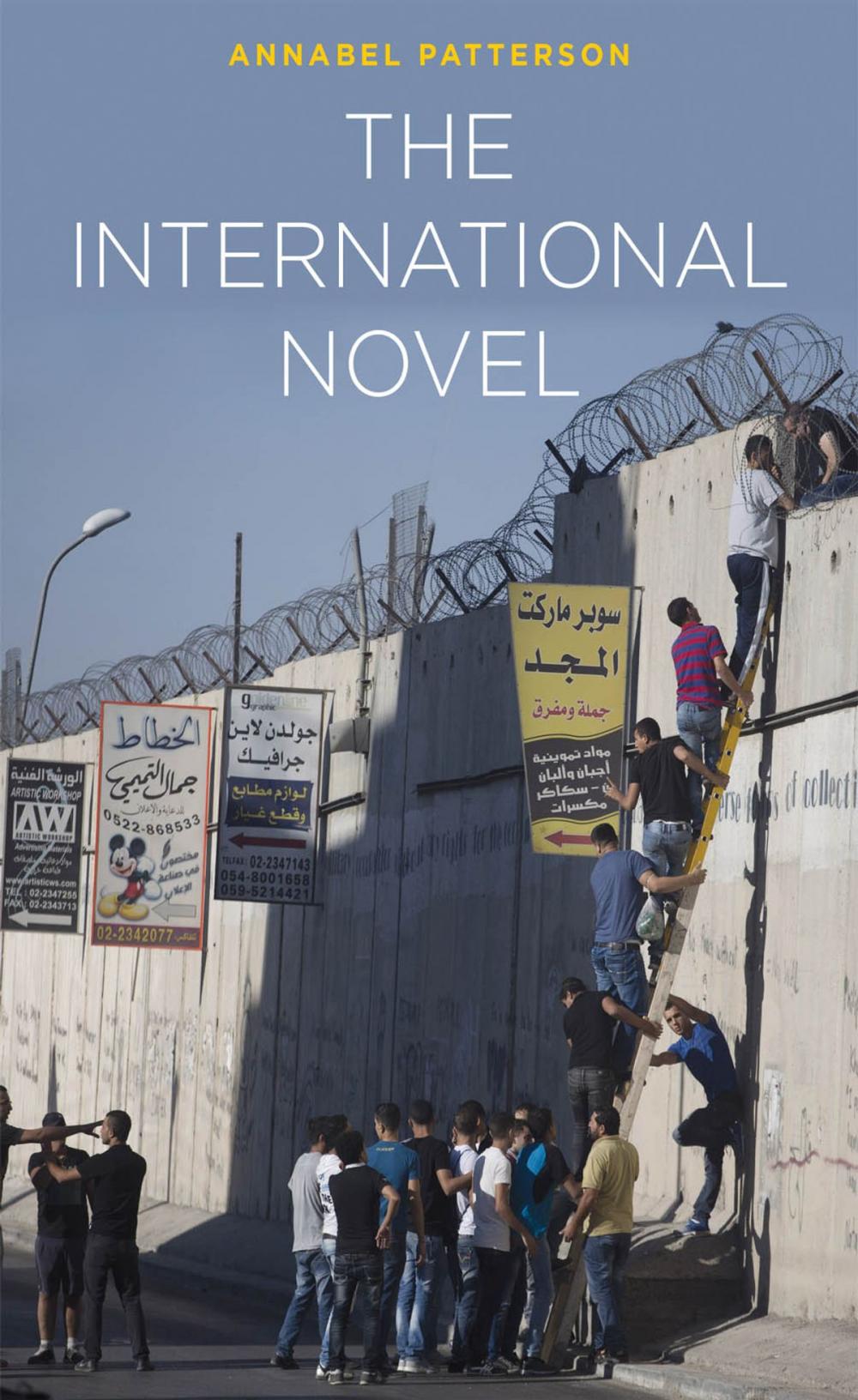 Big bigCover of The International Novel