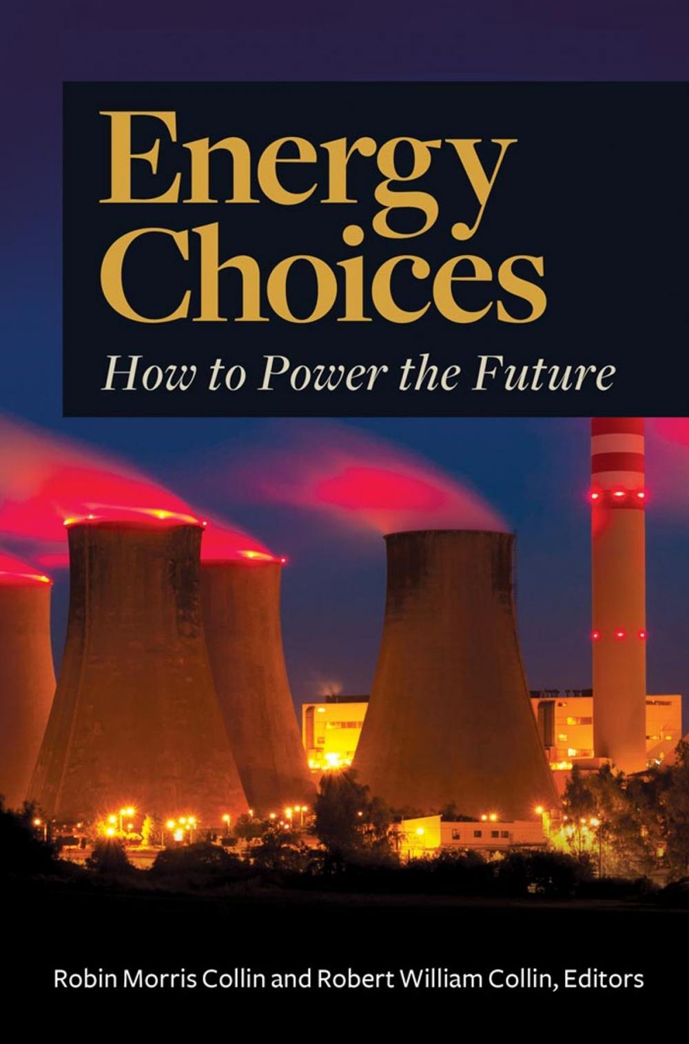 Big bigCover of Energy Choices: How to Power the Future [2 volumes]