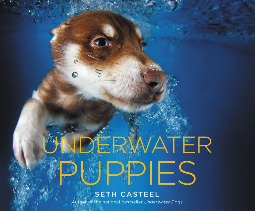 Big bigCover of Underwater Puppies