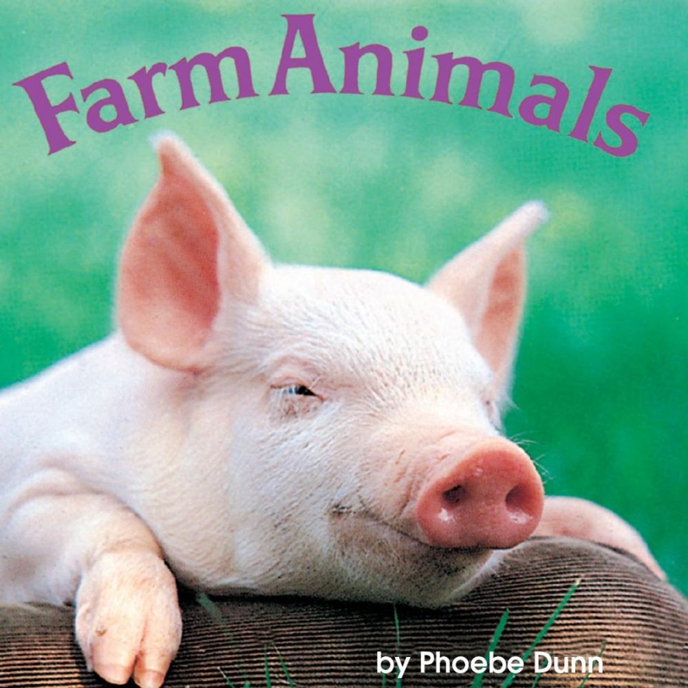 Big bigCover of Farm Animals