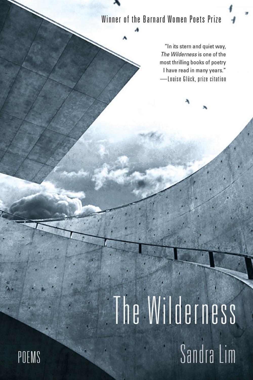 Big bigCover of The Wilderness: Poems