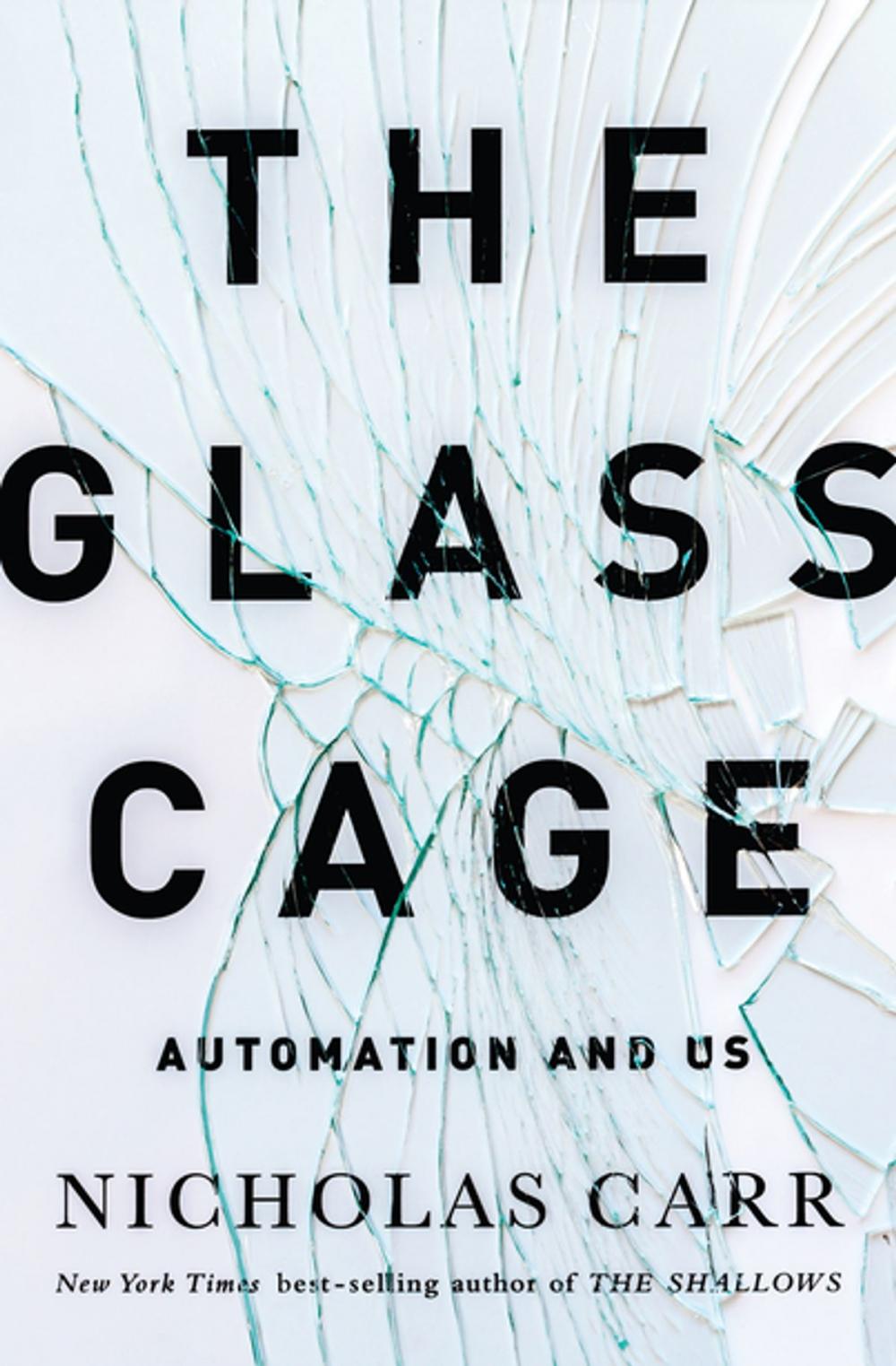 Big bigCover of The Glass Cage: How Our Computers Are Changing Us