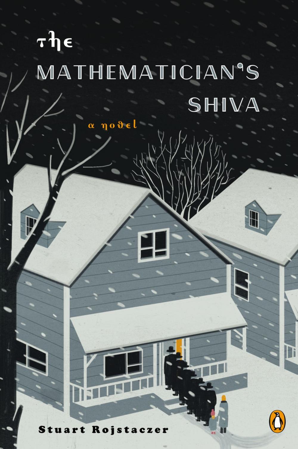 Big bigCover of The Mathematician's Shiva