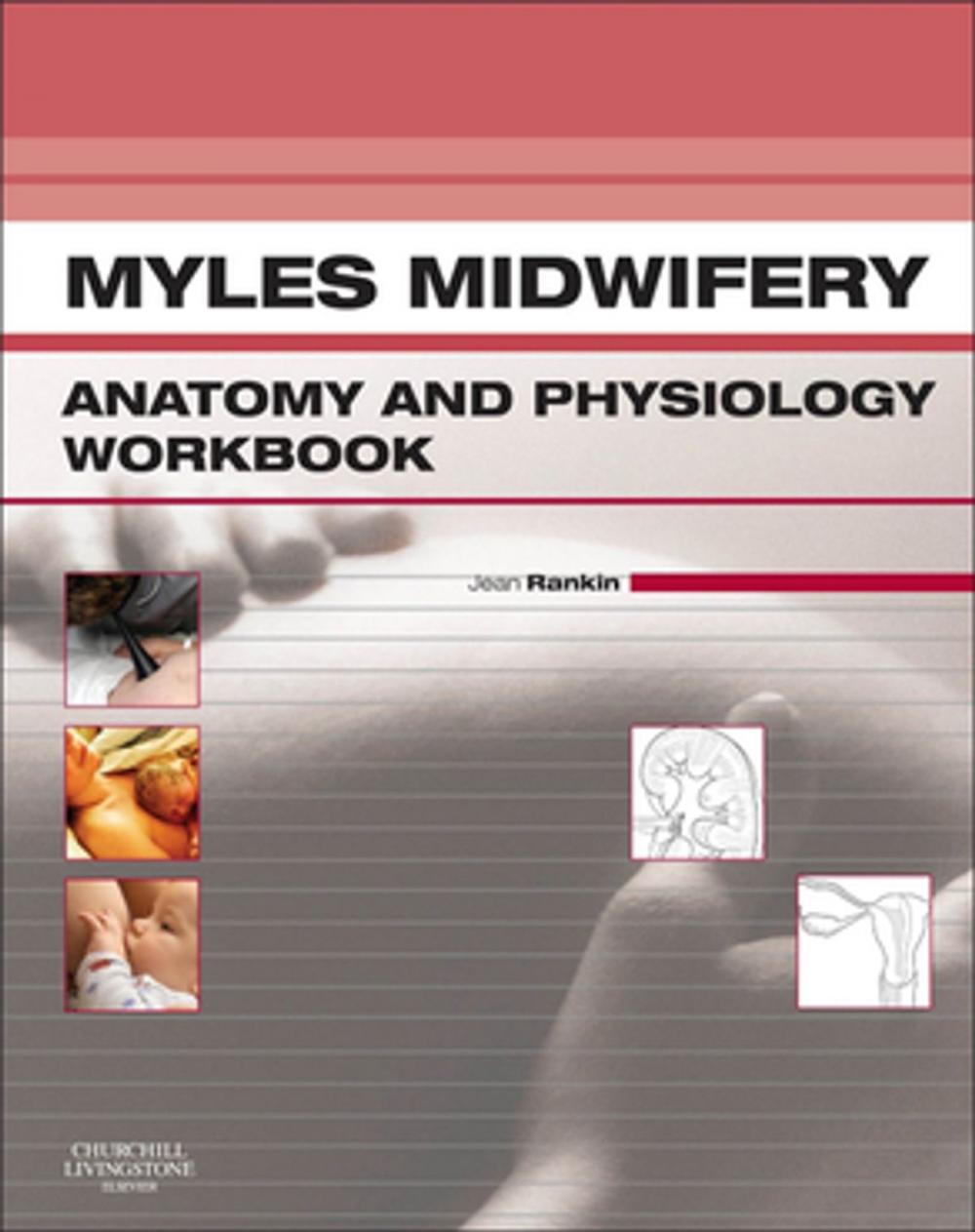 Big bigCover of Myles Midwifery A&P Colouring Workbook - E-Book