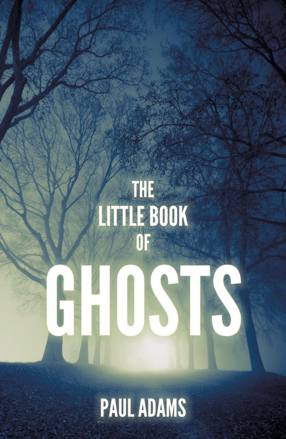 Big bigCover of Little Book of Ghosts