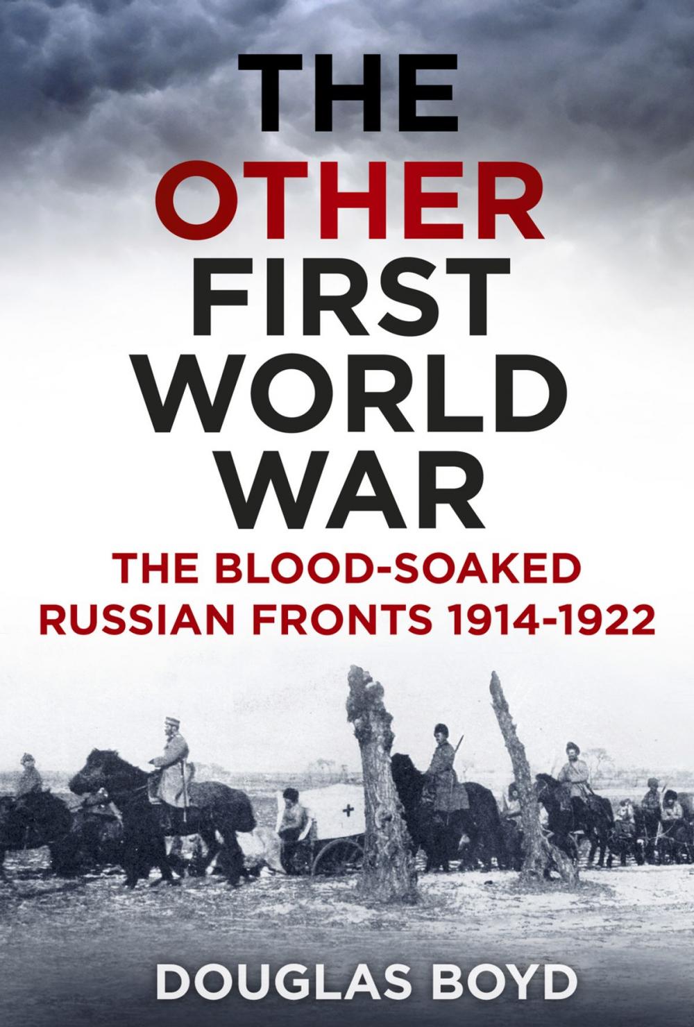 Big bigCover of Other First World War