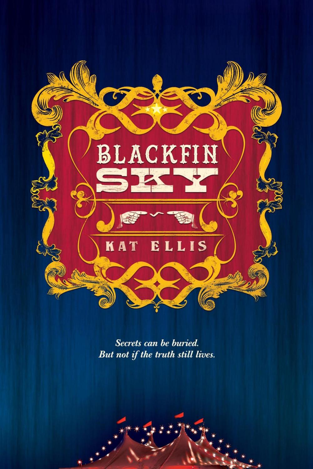 Big bigCover of Blackfin Sky