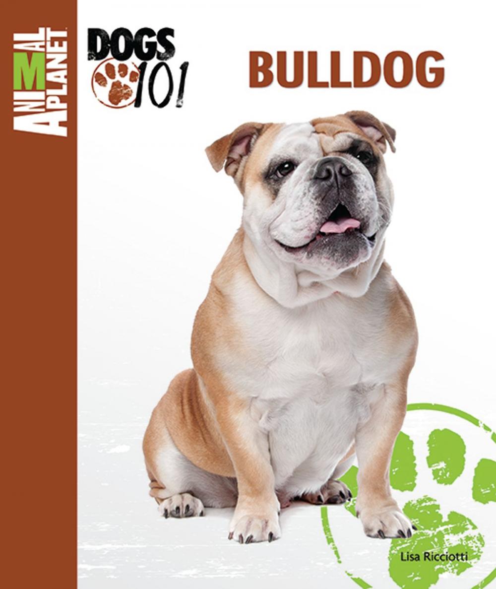 Big bigCover of Bulldog