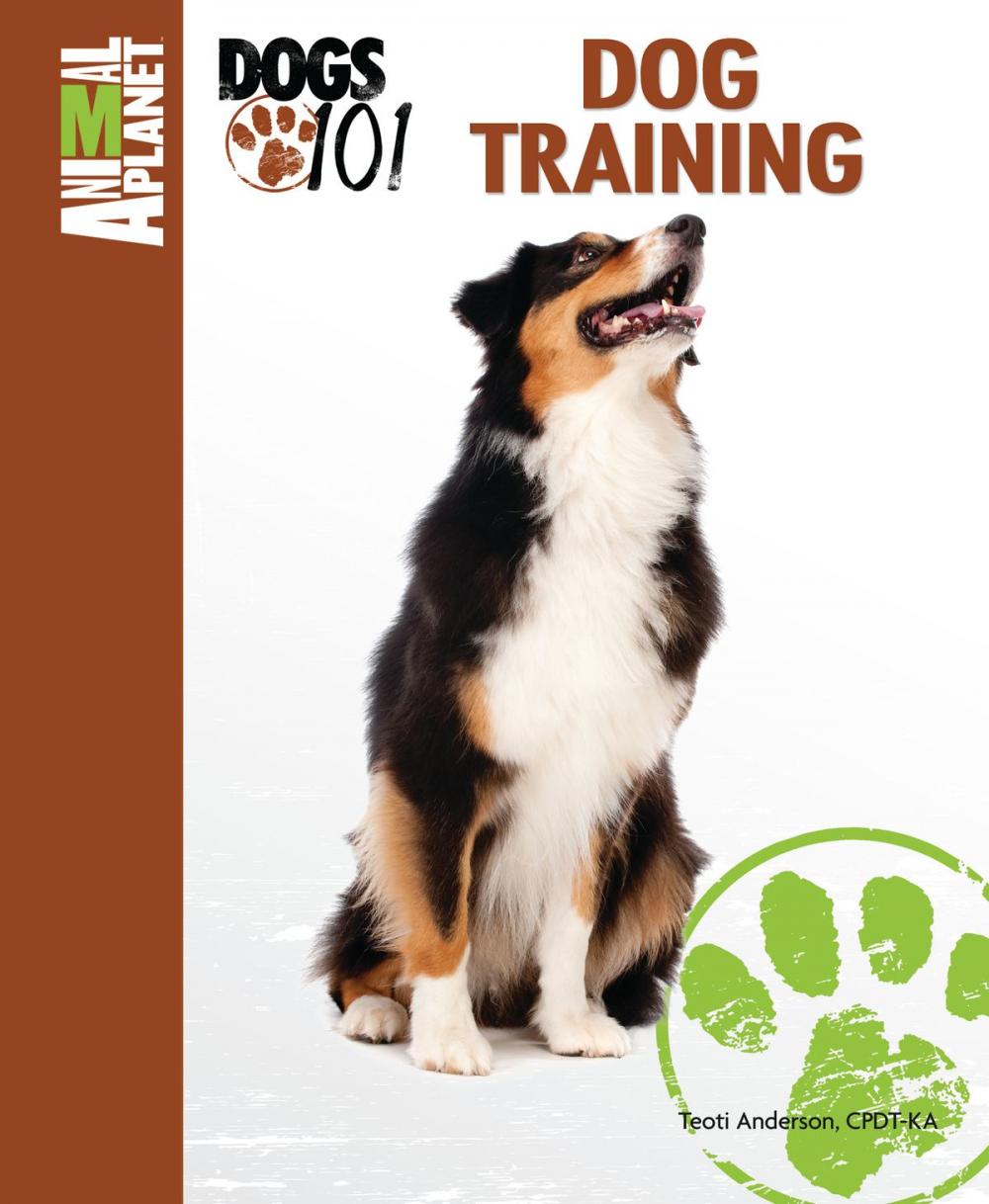 Big bigCover of Dog Training