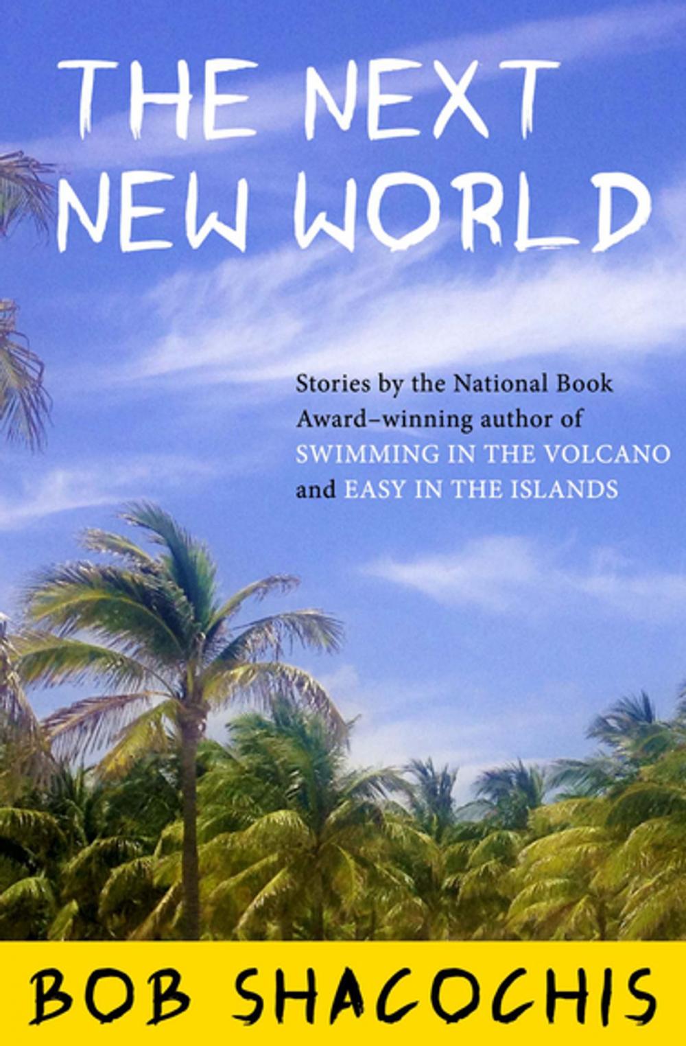 Big bigCover of The Next New World